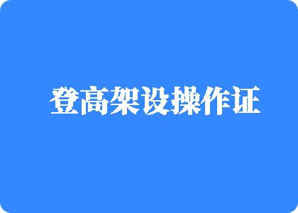 操新西兰毛茸茸女人登高架设操作证